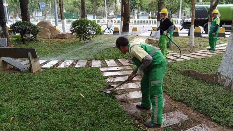 南京道路绿化工程验收标准全解析