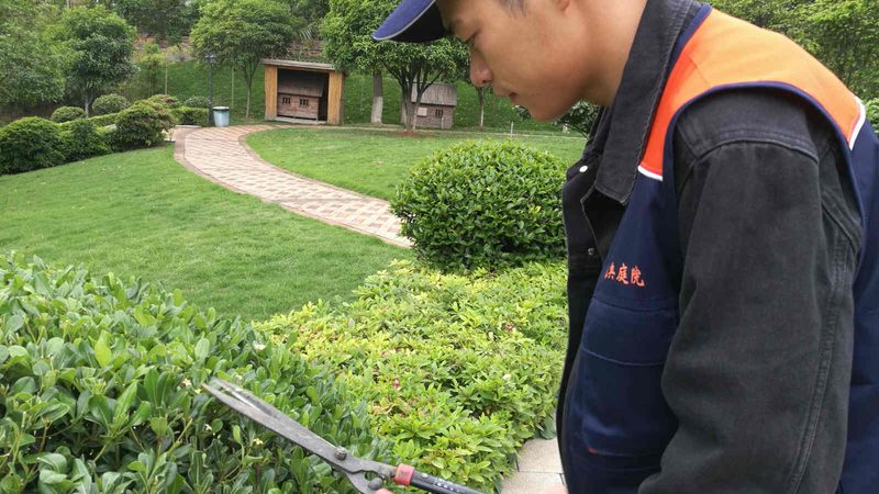 假山喷泉尺寸，如何精准把握标准规范？**
