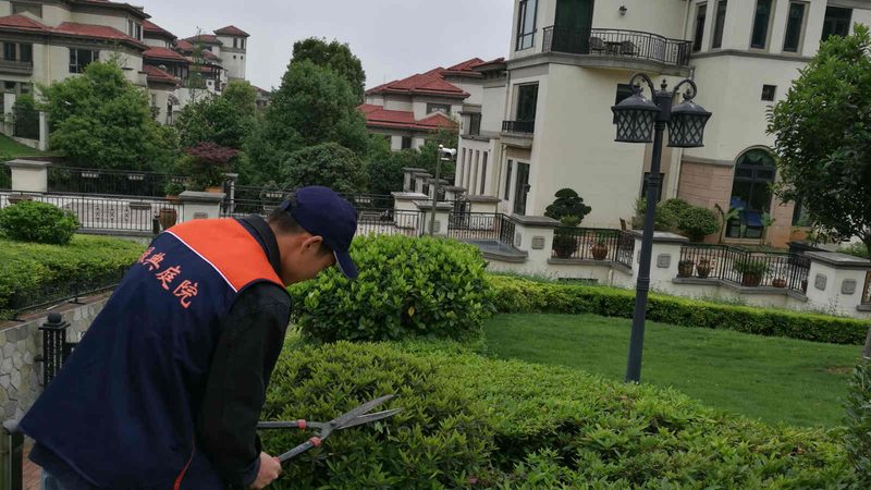 绿化资质项目规模限制分类标准解析**