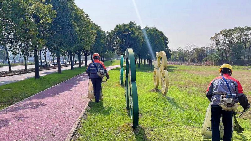 绿化养护项目投标代理：关键要素与策略解析