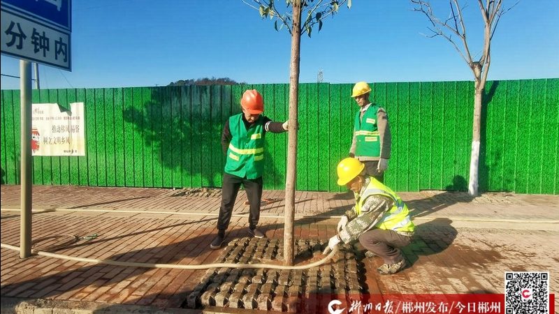 园林公司定制化服务：如何满足多样化需求