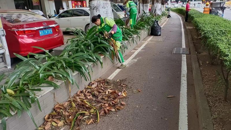 绿化竣工验收监理职责：保障工程品质的关键环节**