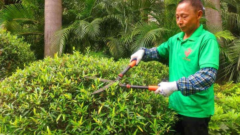 园林绿化石材定制：揭秘其背后的工艺与选择要点**