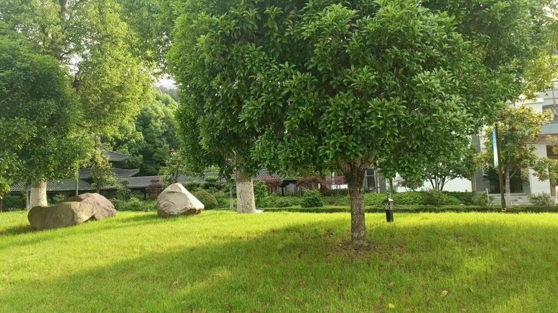 草坪铺设材料价格受多种因素影响，以下列举几个关键因素：
