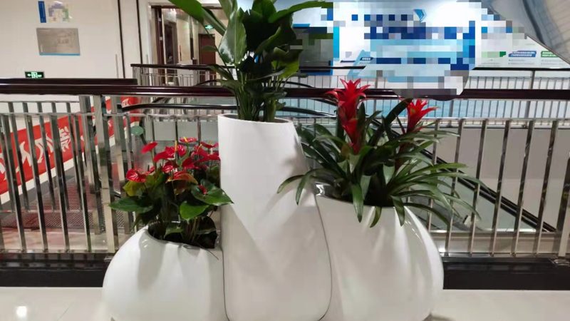 别墅墙面绿化植物墙方案：打造绿色生活新选择