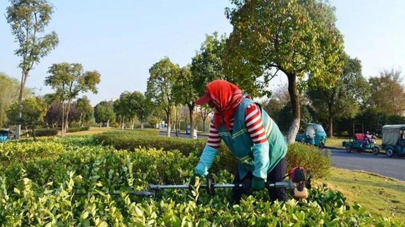 景观工程报价单编制全攻略：关键要素与注意事项