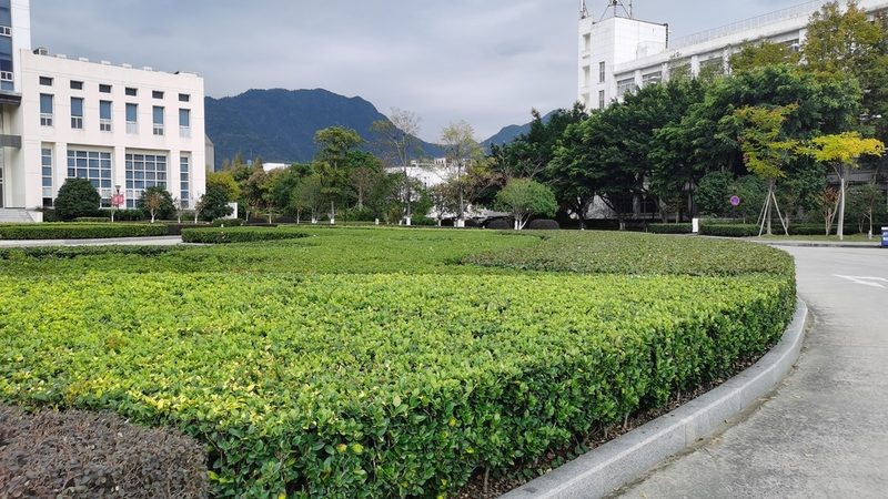 市政绿化预算：常见问题解析**