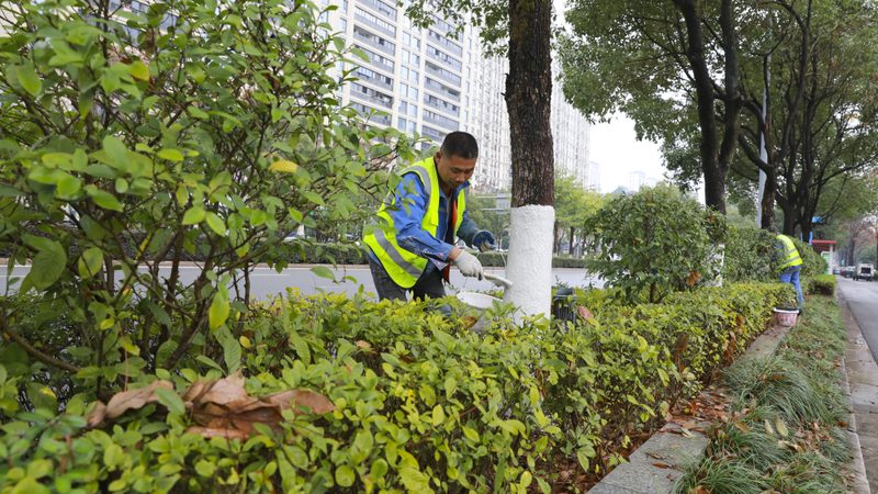 别墅花园设计施工验收标准全解析**